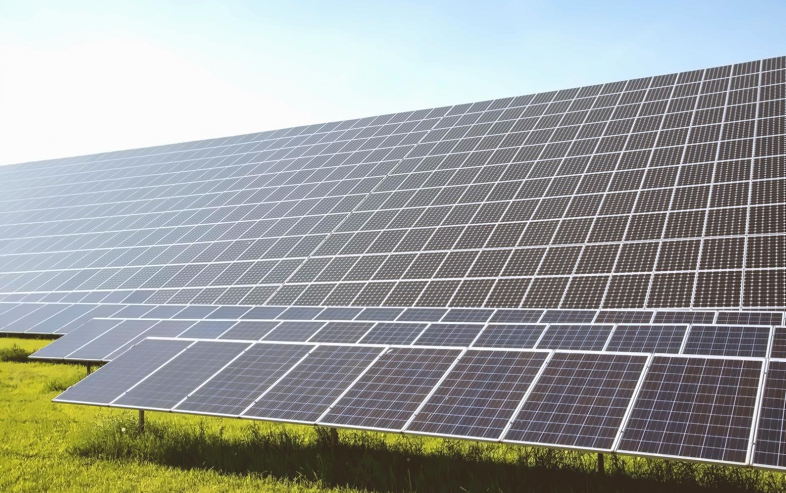 Екологічні моделі в дії